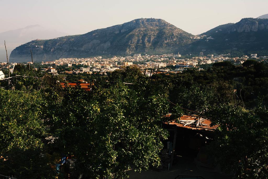 Patrizia Casa Vacanze Sant'Agnello Rum bild